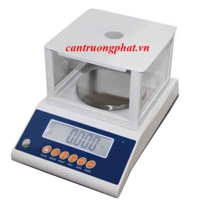 Cân Kỹ Thuật DS302