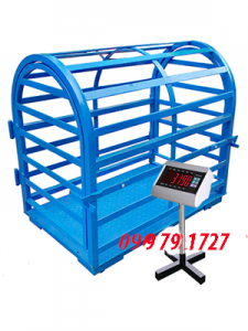 Cân Điện Tử Cân Heo 500kg